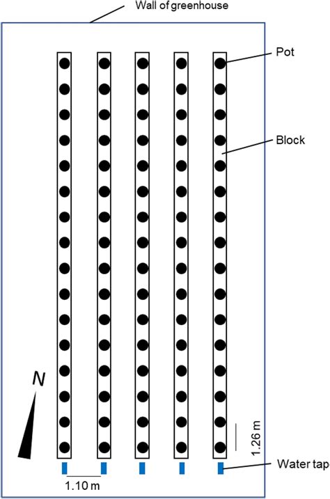 Image result for Experimental Design Randomized Block