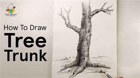Realistic Tree Trunk Drawing に対する画像結果