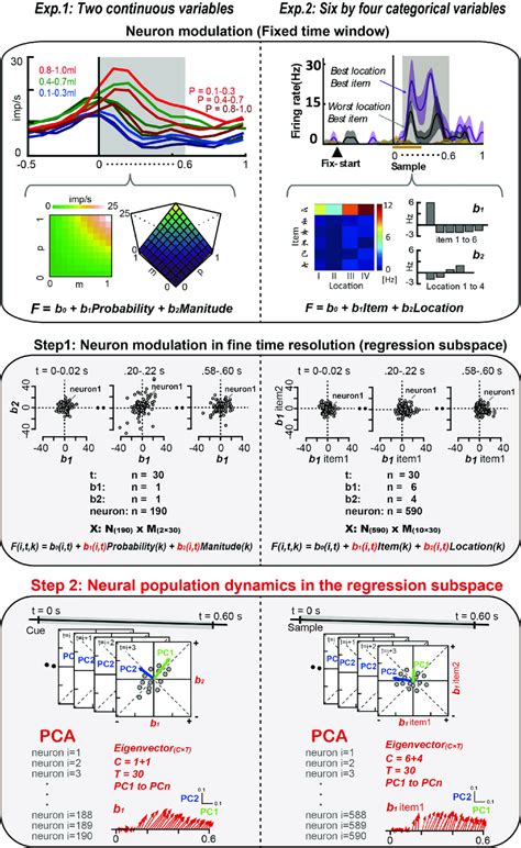 Image result for Rate Coding