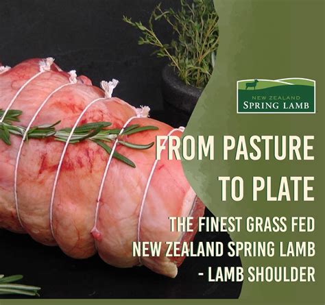 Delta First Class Lamb Shoulder に対する画像結果