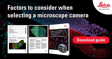 Automate Leica Microscope Using Python に対する画像結果