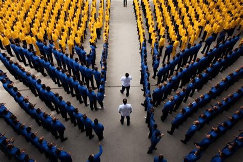 File Formation Human-साठीचा प्रतिमा निकाल