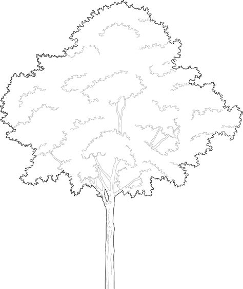 Toradh íomhá ar BW Tree Line Vector