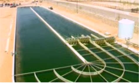 Toradh íomhá ar Renewable Energy Using Algae