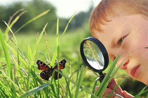 Toradh íomhá ar Observation Sheet for Strange Situation