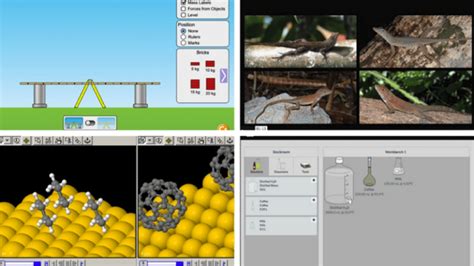 Image result for Science Virtual Classroom Examples