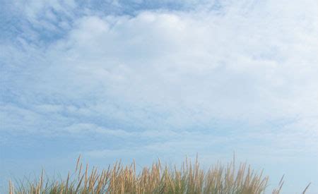 Bildergebnis für What Is a Sign Book