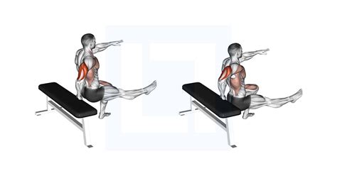 Lying Tricep Curls Form に対する画像結果