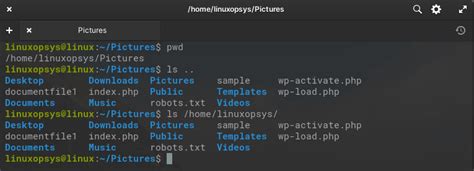 Toradh íomhá ar Color of File Xtenison of Linux LS Output