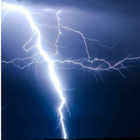 Image result for Thunder Phoenix