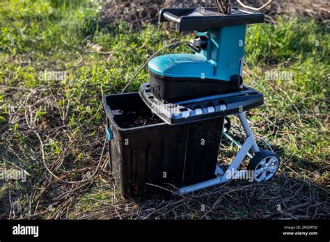 Image result for Clean Vine Collection