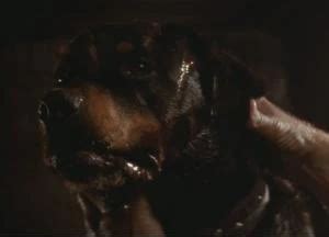 Afbeeldingsresultaten voor Alien 3 Spike