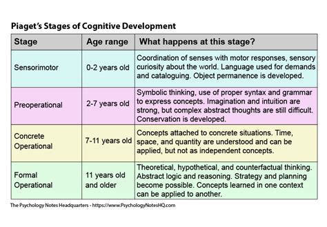 Brain Development Model に対する画像結果