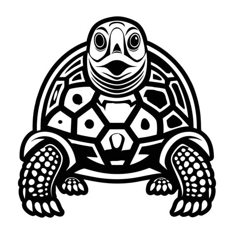 Image result for Logo Turtle Graphics