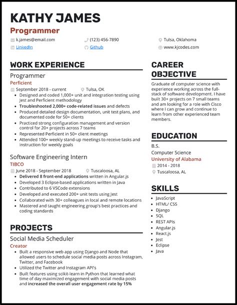 Image result for Computer Programmer Resume