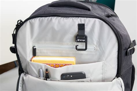 Image result for Tortuga Set Out