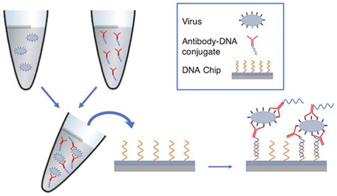 Image result for Cell Control Array Virus