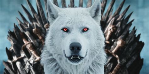 Image result for Ghost Game of Thrones