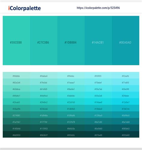 Image result for Java El6 Color