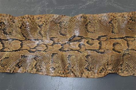 Desert Python Skin に対する画像結果