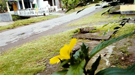 Image result for How to Test Camera On