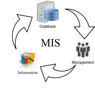 Process of Management Information System に対する画像結果