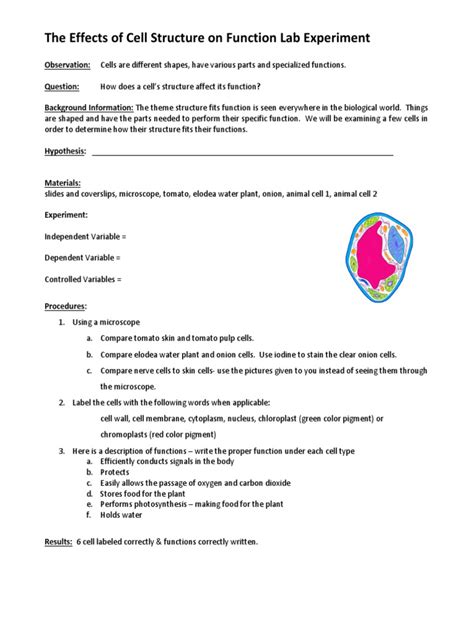 Lab Made Cell Structures-এর ছবি ফলাফল