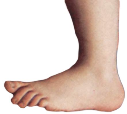 Image result for Monty Python Foot Vector Graphic High Resolution