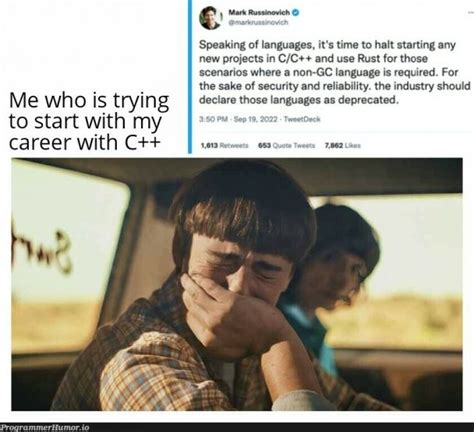 Afbeeldingsresultaten voor Average Rust Programmer