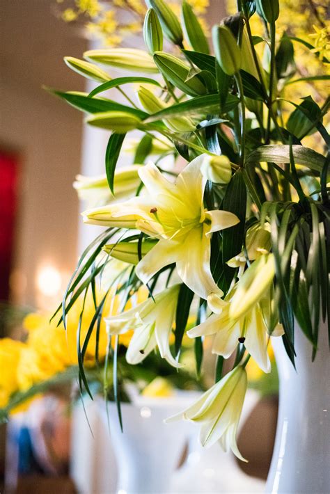 Image result for Square Root Designs