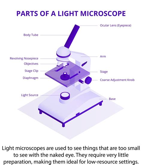 Image result for Functions of Light Microscope Parts