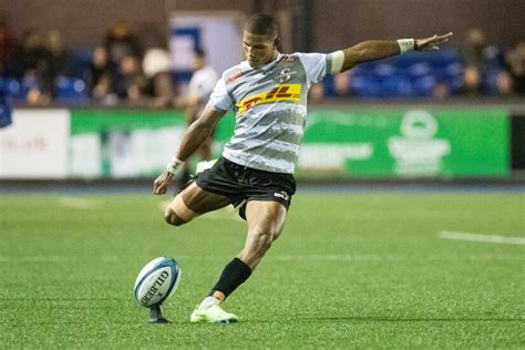 Image result for Manie Libbok Springbok