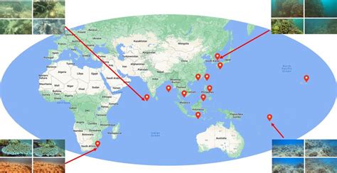 Image result for World Map Data