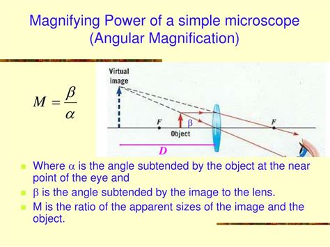 Angular Magnification に対する画像結果