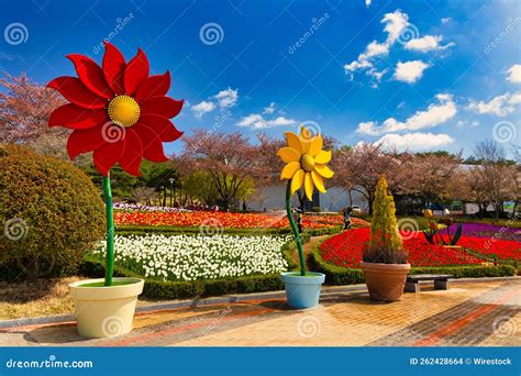 Toradh íomhá ar Spring Image