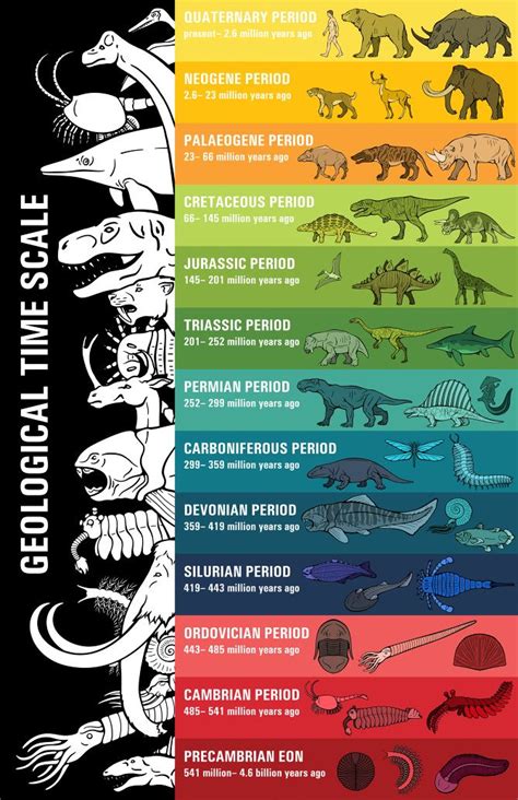 Unique Geologic Time Scale に対する画像結果