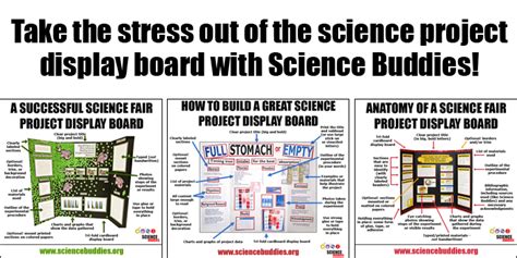 Image result for Science Project Display Board