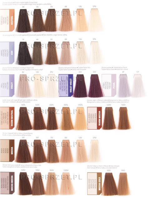 Image result for Matrix Light Violet Color Chart