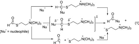 Image result for Thioester Hydrolysis Complement Cascade