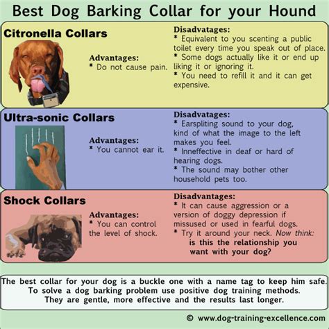 Image result for How to Use a Bark Collar for Dogs