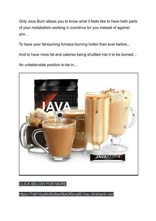 Image result for Java Burn PDF
