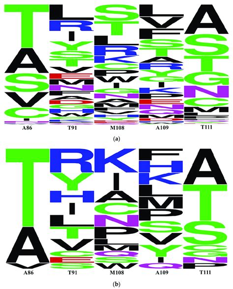 Afbeeldingsresultaten voor ProSite Sequence Logo Color Code