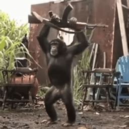 Image result for Dog Homework Cartoon