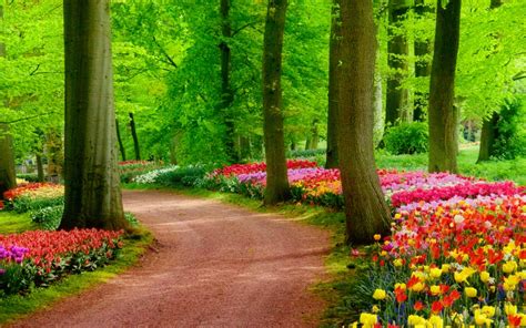 Image result for Colorful Spring Desktop Wallpaper
