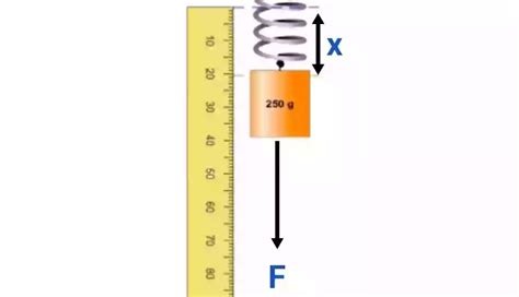 Image result for Effective Spring Constant