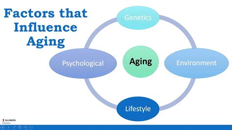 Toradh íomhá ar Understanding the Aging Process