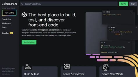 Image result for Website Video Sample Design CodePen