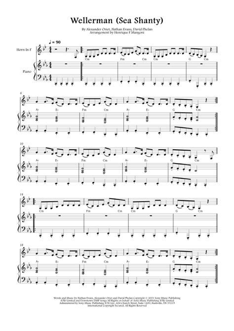 Image result for Wellerman Loop