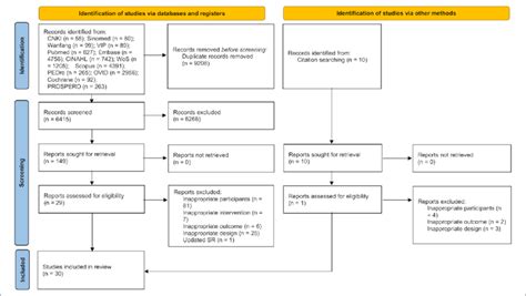 Branch of Selection Flowchart に対する画像結果