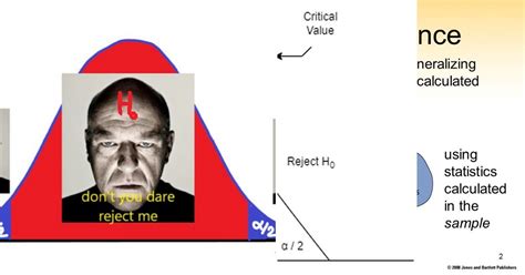 Image result for Triangle of Statistical Inference Efron